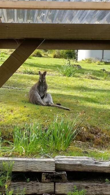 The Stone Cottage - Bruny Island Simpsons Bay 外观 照片